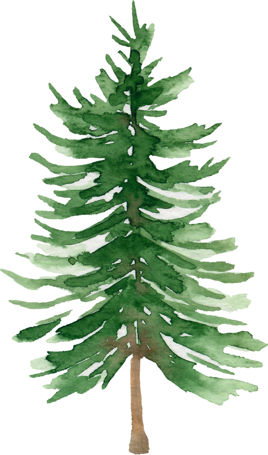 Watercolor Pine Tree Clipart