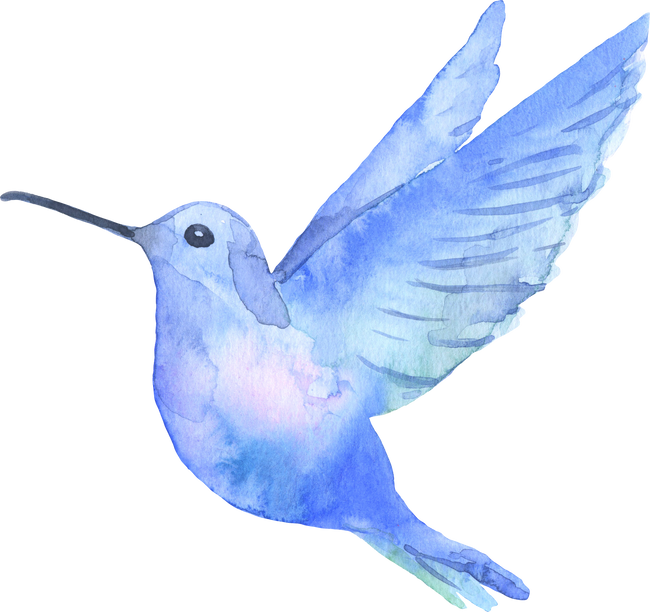 Watercolor blue hummingbird