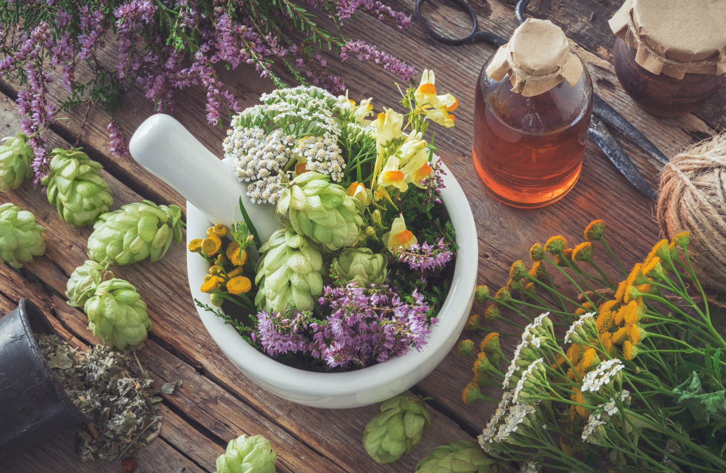 Mortar of medicinal herbs, healthy plants, bottle of tincture or infusion. Top view. Herbal medicine.