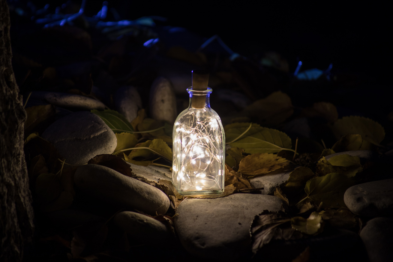 Magical fairy dust potion in bottle in the forest