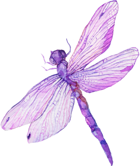 Dragonfly Watercolor Illustration